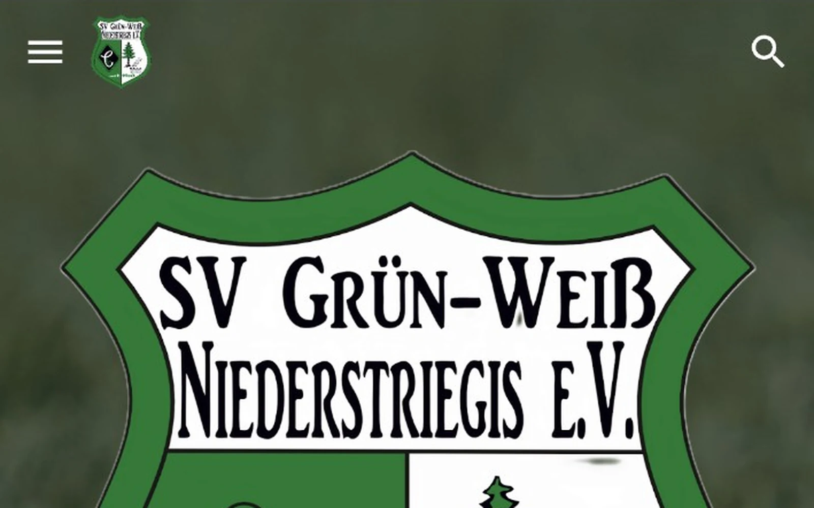 Vorschau der Webseite von Grün-Weiß Niederstriegis